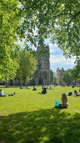 LaTeX, TeX, and the Gifts Only Academics Will Understand